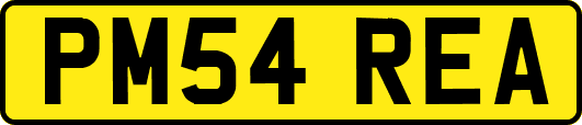 PM54REA