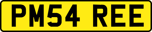 PM54REE