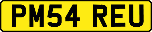 PM54REU