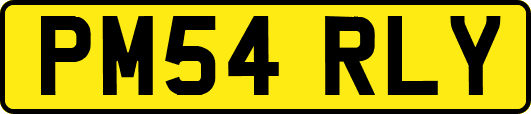 PM54RLY