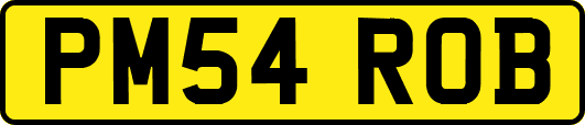 PM54ROB