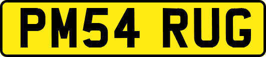 PM54RUG
