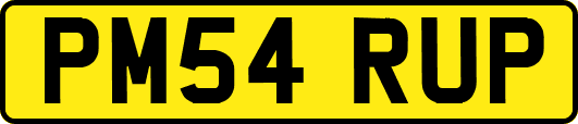 PM54RUP