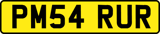 PM54RUR