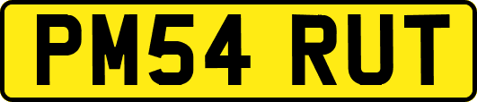 PM54RUT