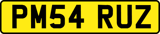 PM54RUZ