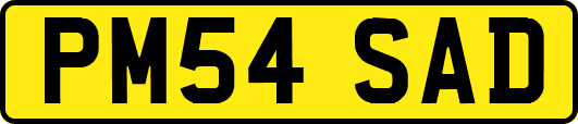 PM54SAD