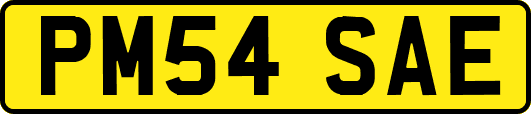 PM54SAE