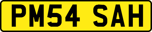 PM54SAH