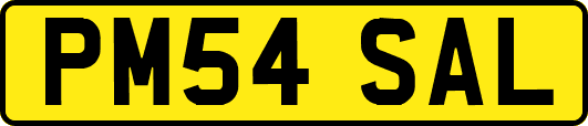 PM54SAL