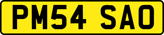 PM54SAO