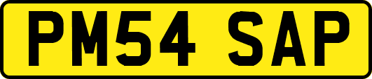 PM54SAP