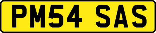 PM54SAS