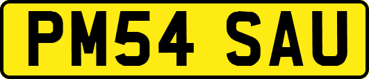 PM54SAU