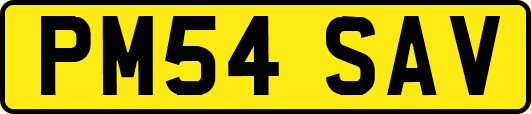 PM54SAV