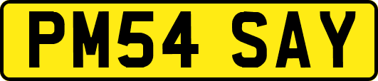 PM54SAY