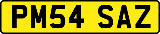 PM54SAZ