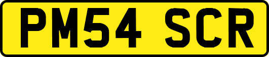 PM54SCR