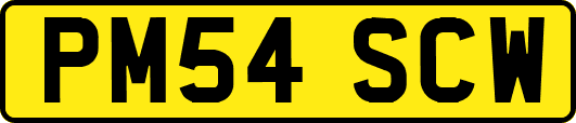 PM54SCW