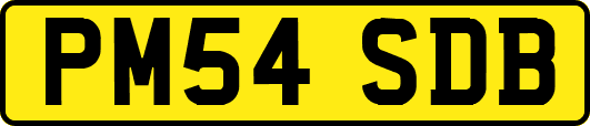 PM54SDB