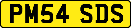 PM54SDS