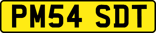 PM54SDT