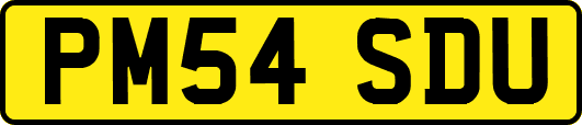 PM54SDU