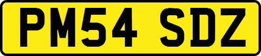 PM54SDZ