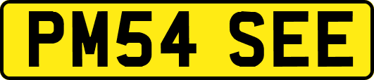 PM54SEE