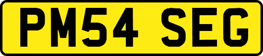 PM54SEG