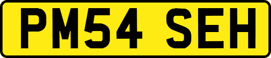 PM54SEH