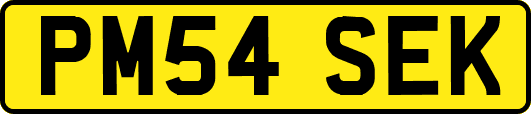 PM54SEK