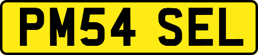 PM54SEL