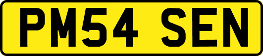 PM54SEN