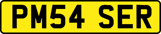 PM54SER