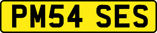 PM54SES
