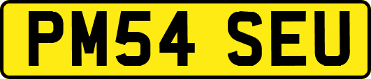 PM54SEU