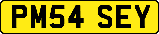 PM54SEY