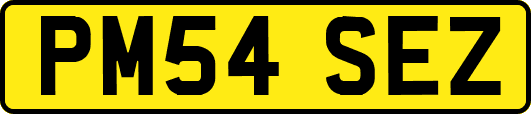 PM54SEZ