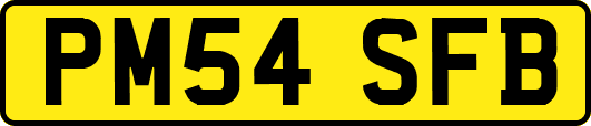 PM54SFB