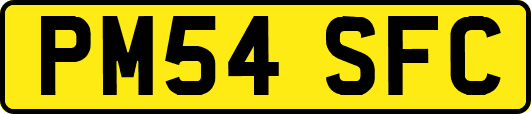 PM54SFC