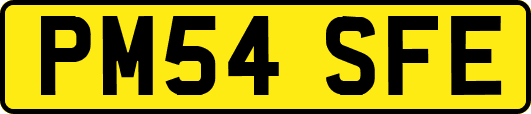 PM54SFE