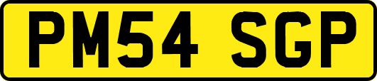 PM54SGP