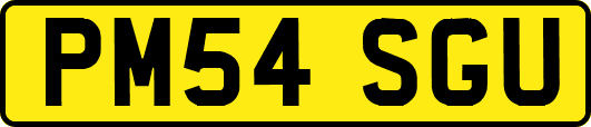 PM54SGU