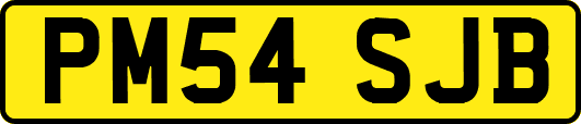PM54SJB