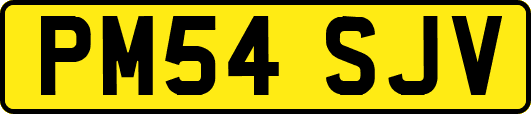 PM54SJV