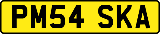 PM54SKA