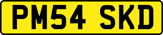 PM54SKD