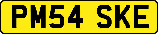 PM54SKE