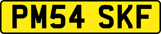 PM54SKF